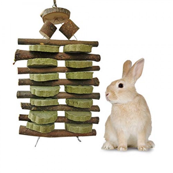 Bunny Chew Toys for Teeth, Organic Fruitwood Sticks for Bunny, Ra...
