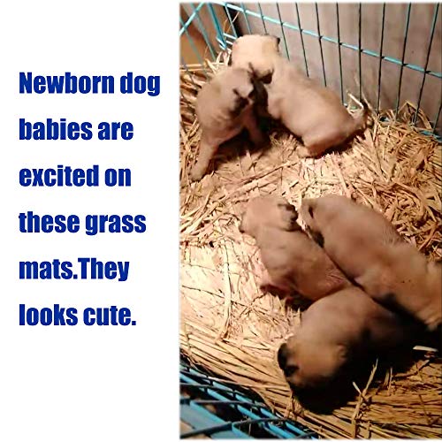 Grass Mat Woven Bed Mat for Small Animal Bunny Bedding Nest Chew ...