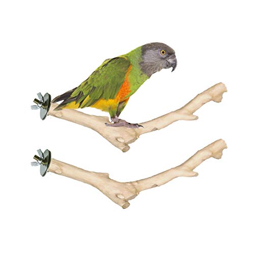 Hamiledyi Bird Perch Natural Wood Stand Bird Cage for Parrots Par...