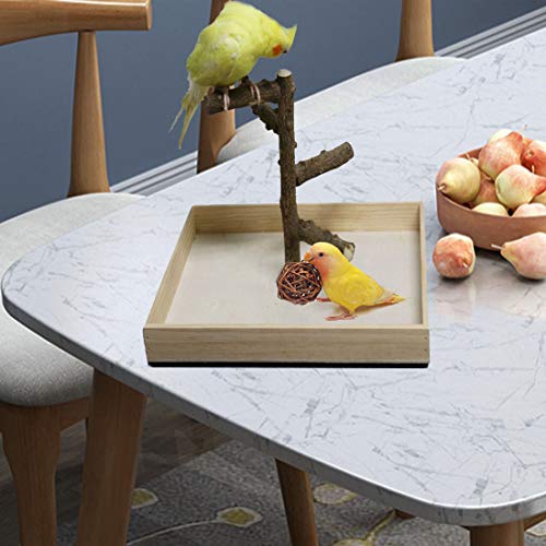 Hamiledyi Bird Perch Stand Tabletop,Parrot Playground Bird Gym Na...