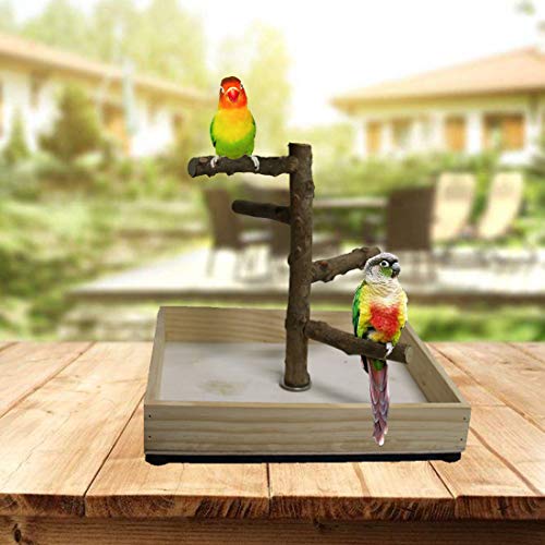 Hamiledyi Bird Perch Stand Tabletop,Parrot Playground Bird Gym Na...