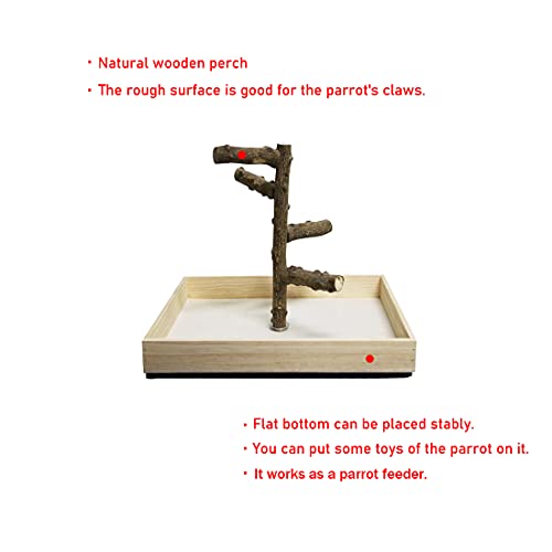 Hamiledyi Bird Perch Stand Tabletop,Parrot Playground Bird Gym Na...