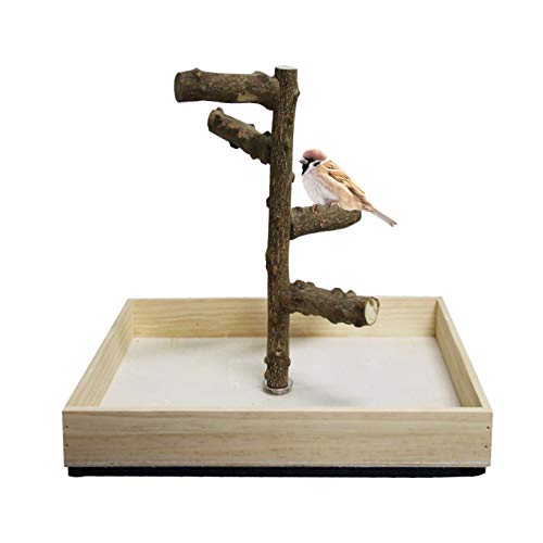 Hamiledyi Bird Perch Stand Tabletop,Parrot Playground Bird Gym Na...