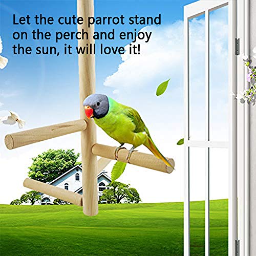 Hamiledyi Parakeet Perch,Bird Natural Wood Stand,Parrot Cage Top ...