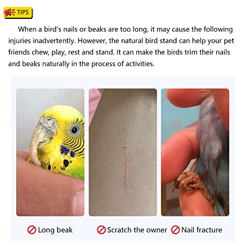 Hamiledyi Parakeet Perch,Bird Natural Wood Stand,Parrot Cage Top ...