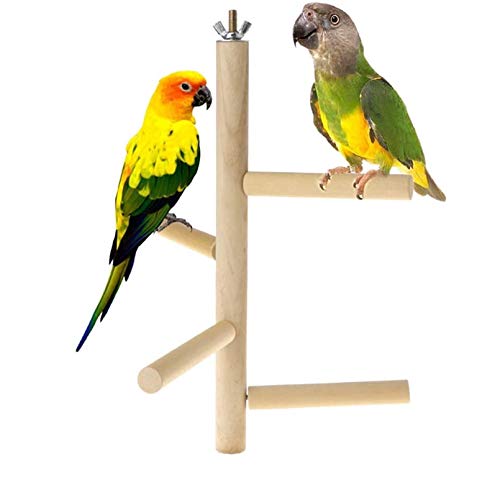 Hamiledyi Parakeet Perch,Bird Natural Wood Stand,Parrot Cage Top ...