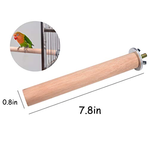 Hamiledyi Parrot Feeder Cage Accessories Supplies Automatic Bird ...