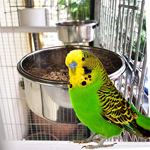 Hamiledyi Parrot Feeding Cup,Bird Food Dish Stainless Steel Bird ...