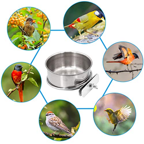 Hamiledyi Parrot Feeding Cup,Bird Food Dish Stainless Steel Bird ...