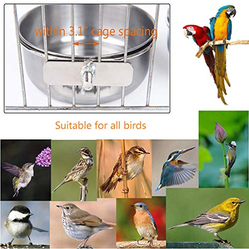 Hamiledyi Parrot Feeding Cups,Birds Food Dish Stainless Steel Par...