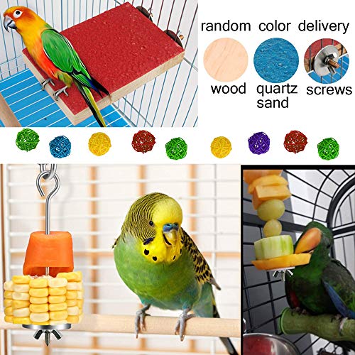 Hamiledyi Parrot Feeding Cups,Birds Food Dish Stainless Steel Par...