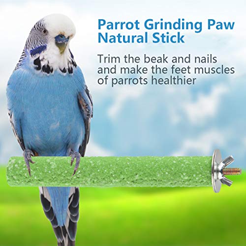 Hamiledyi Parrot Perch Stand Toy, Bird Cage Perch Toy,Natural Paw...