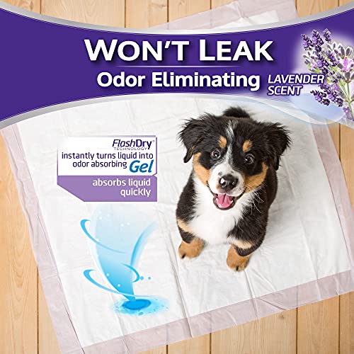 Hartz Home Protection Odor Eliminating Scented Dog Pads, Super Ab...