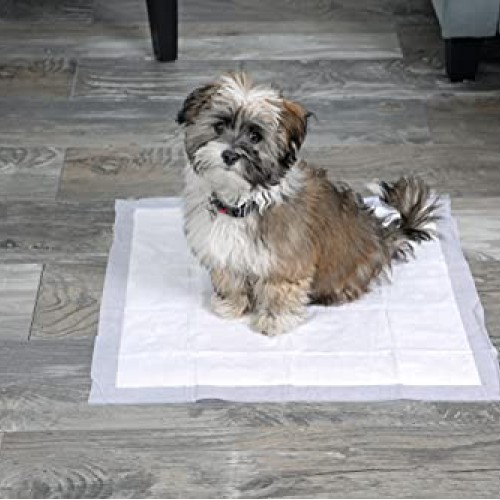 Hartz Home Protection Odor Eliminating Scented Dog Pads, Super Ab...