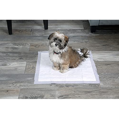 Hartz Home Protection Odor Eliminating Scented Dog Pads, Super Ab...
