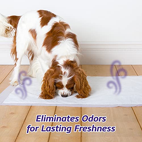 Hartz Home Protection Odor Eliminating Scented Dog Pads, Super Ab...