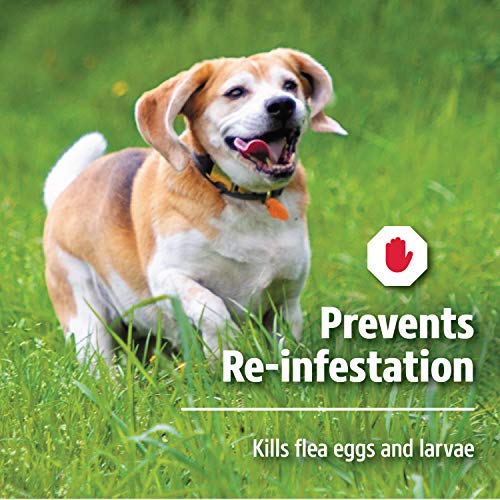 Hartz UltraGuard Dual Action Topical Flea & Tick Prevention for D...