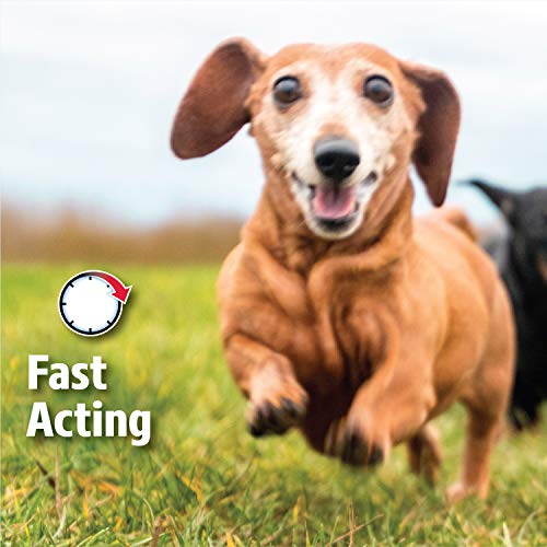 Hartz UltraGuard Dual Action Topical Flea & Tick Prevention for D...