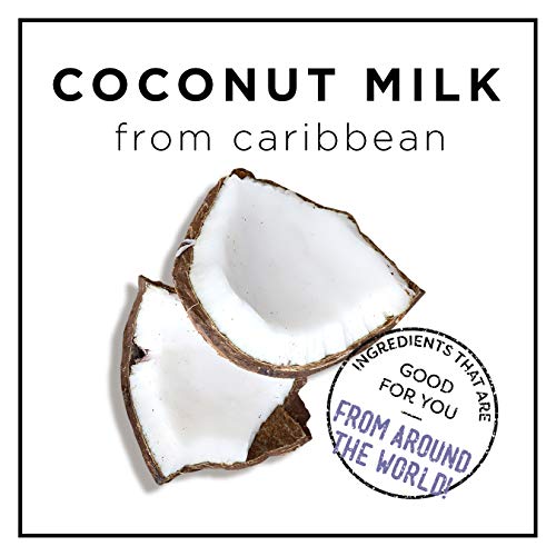 HASK COCONUT MILK + HONEY Hydrating Shampoo + Conditioner Set for...