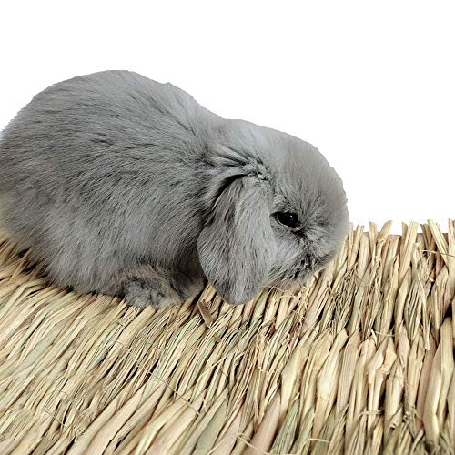 Haudang Rabbit Mat,Grass Mats for Rabbits,Safe & Edible Rabbit Ma...