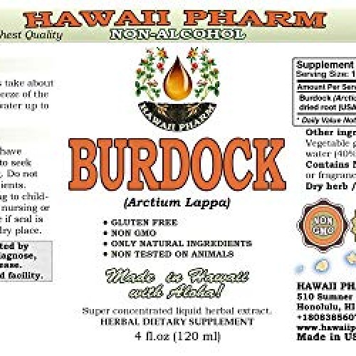 HawaiiPharm Burdock Alcohol-Free Liquid Extract, Organic Burdock ...