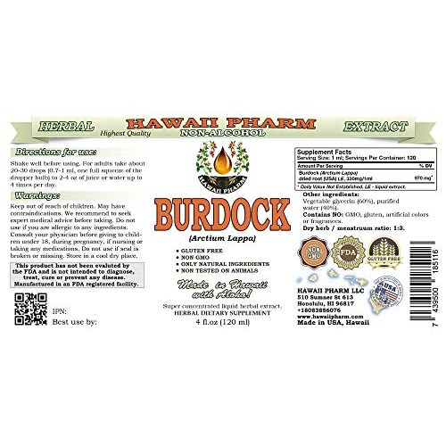 HawaiiPharm Burdock Alcohol-Free Liquid Extract, Organic Burdock ...
