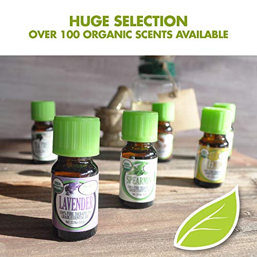 Organic Cinnamon Bark Essential Oil 100% Pure - USDA Certified O...