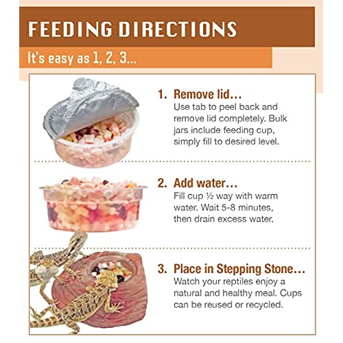 Healthy Herp Juvenile Dragon Food Instant Meal 3.9-Ounce 110 Gra...