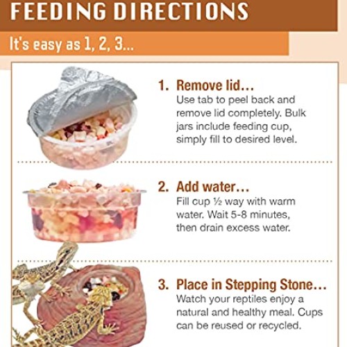 Healthy Herp Juvenile Dragon Food Instant Meal 3.9-Ounce 110 Gra...