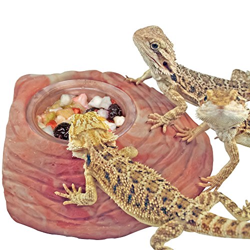 Healthy Herp Juvenile Dragon Food Instant Meal 3.9-Ounce 110 Gra...