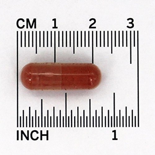 Herbal Pf Herbal Cholestene 600mg 120 cap Pack of 2