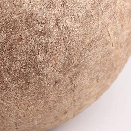 HEEPDD Bird Nest, Hanging Natural Coconut Shell Birds House Hut B...