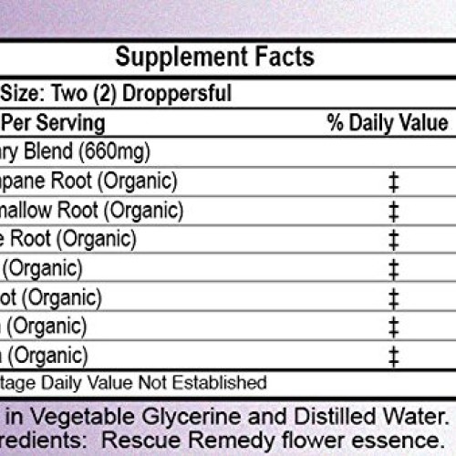 Herb Lore Quiet Cough Tincture 4 fl oz - Alcohol Free - Dry Cough...
