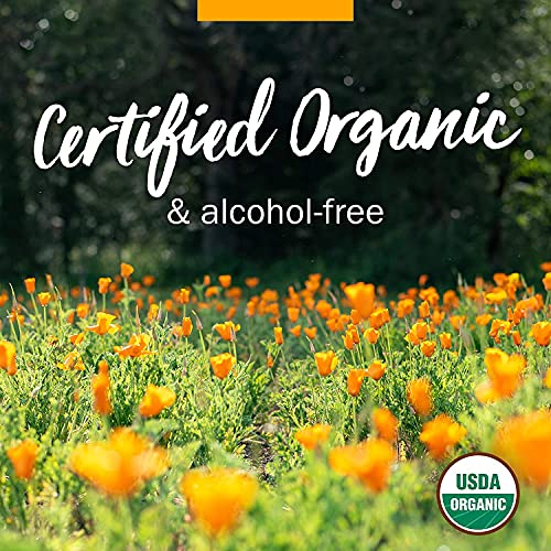 Herb Pharm Brain and Memory Liquid Herbal Formula with Ginkgo for...