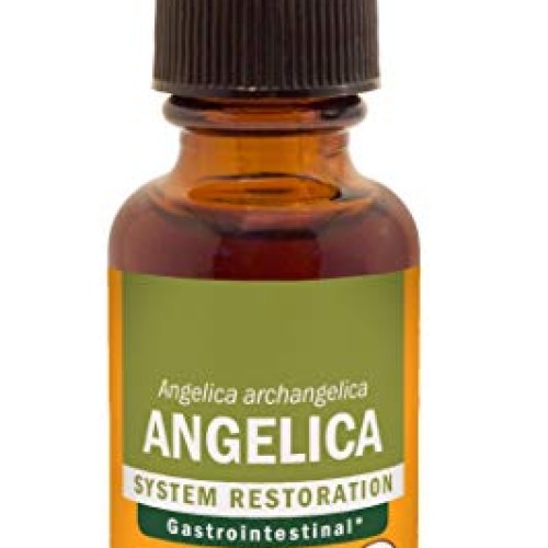 Herb Pharm Certified Organic Angelica Root Liquid Extract for Dig...