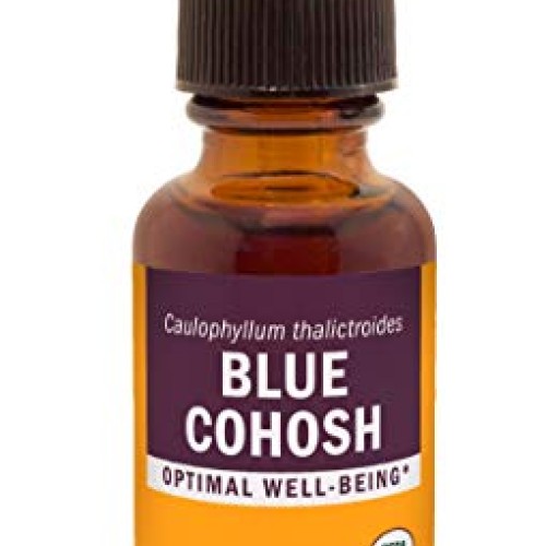Herb Pharm Certified Organic Blue Cohosh Liquid Extract - 1 Ounce