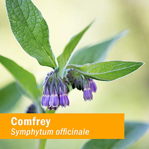 Herb Pharm Certified Organic Comfrey Liquid Extract - 4 Ounce