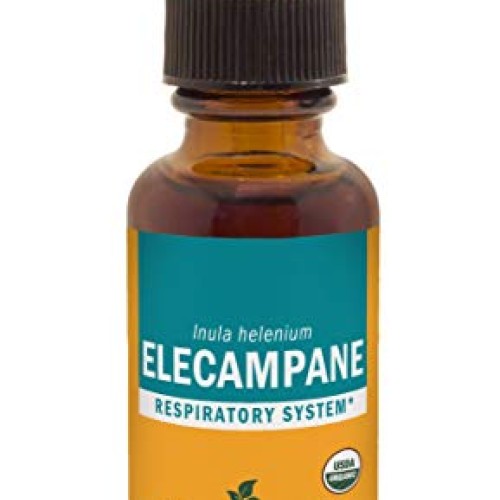 Herb Pharm Certified Organic Elecampane Liquid Extract for Respir...
