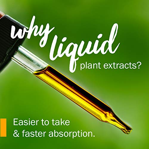 Herb Pharm Certified Organic Holy Basil Tulsi Liquid Extract fo...
