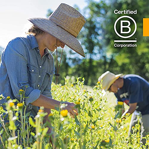 Herb Pharm Certified Organic Skullcap Liquid Extract for Nervous ...