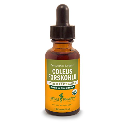 Herb Pharm Coleus Forskohlii Liquid Extract for Heart Health, 1 F...