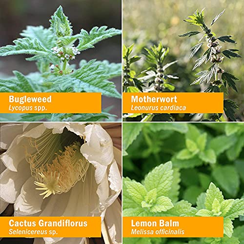 Herb Pharm Thyroid Calming Herbal Formula for Endocrine System Su...