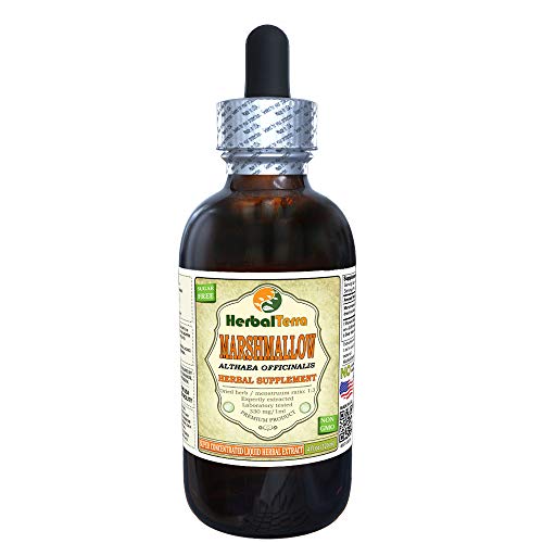 Marshmallow Althaea Officinalis Tincture, Organic Dried Root Li...