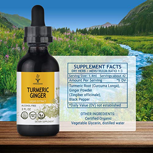 HERBAMAMA Turmeric Ginger Liquid Extract with Black Pepper - Orga...