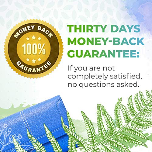 Reishi B60 Alcohol-Free Herbal Extract Tincture, Super-Concentrat...