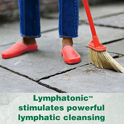 Lymphatonic: 60-Count Softgels