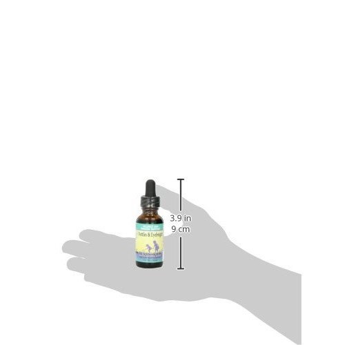 Herbs for Kids Nettles & Eyebright Liquid, 1 Ounce