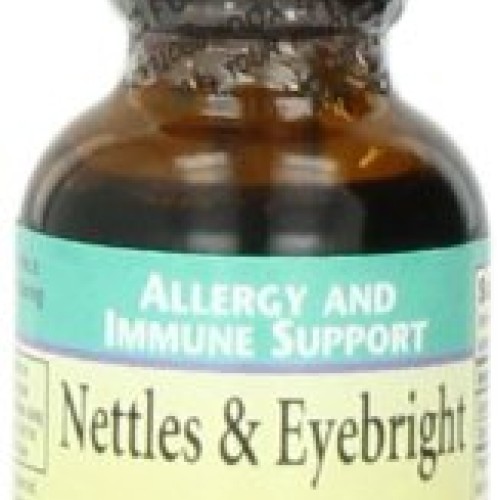 Herbs for Kids Nettles & Eyebright Liquid, 1 Ounce