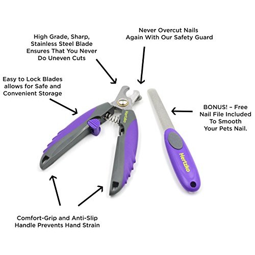 Dog Nail clippers for Large Dogs By Hertzko, Cat Nail Clipper wit...