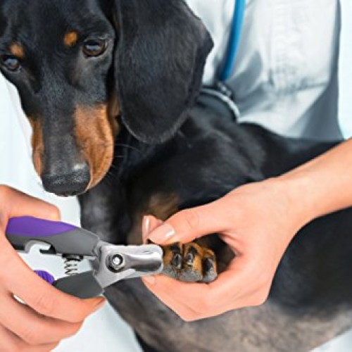 Dog Nail clippers for Large Dogs By Hertzko, Cat Nail Clipper wit...